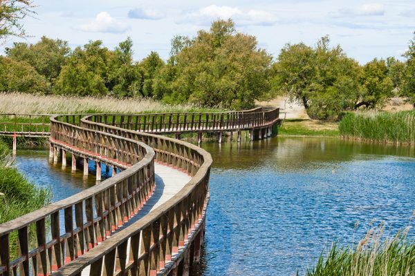 tablas-de-daimiel